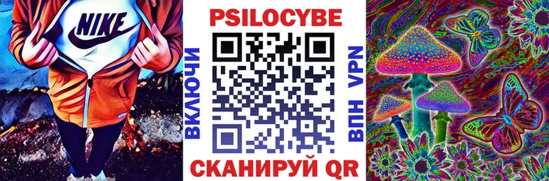 наркошоп  Галич  Псилоцибиновые грибы Cubensis 